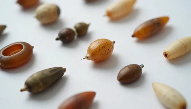 保鲜技术在基地合作中的多场景应用实践